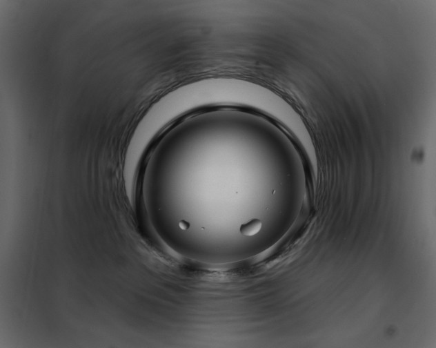 X0000102540237200808081529