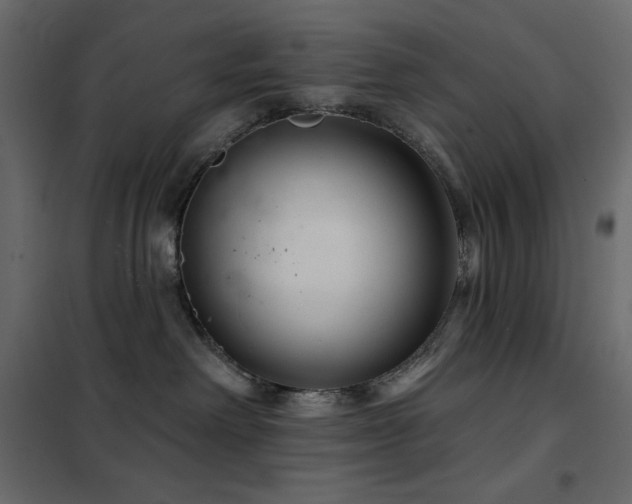 X0000102540238200808081529