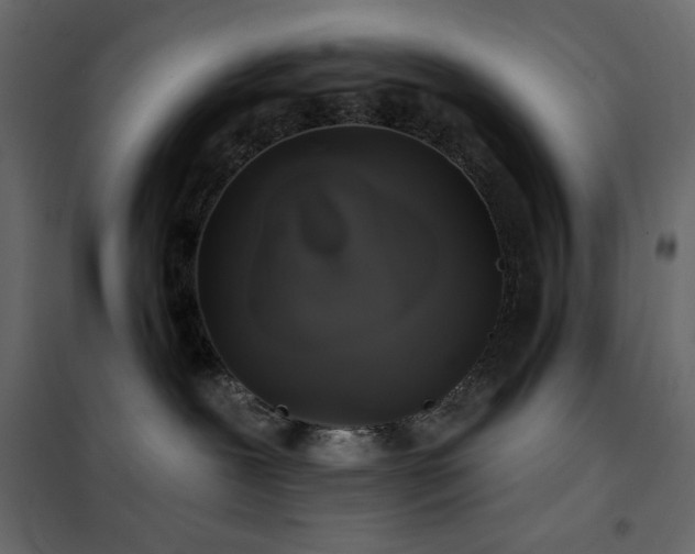 X0000102540239200808081529