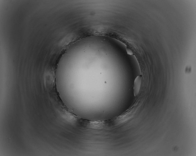 X0000102540240200808081529