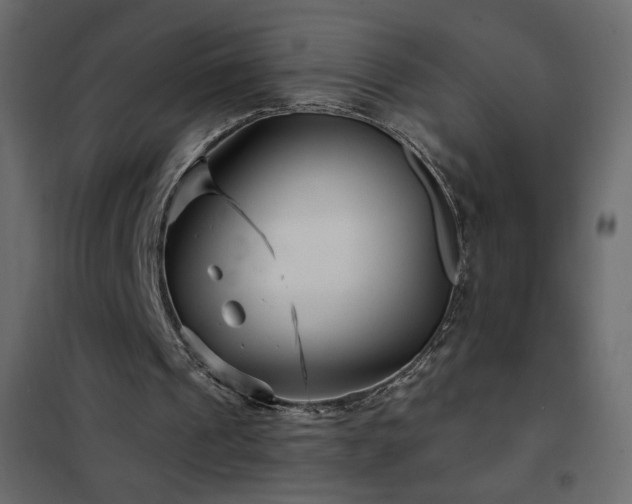 X0000102540241200808081528