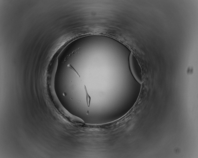 X0000102540242200808081528