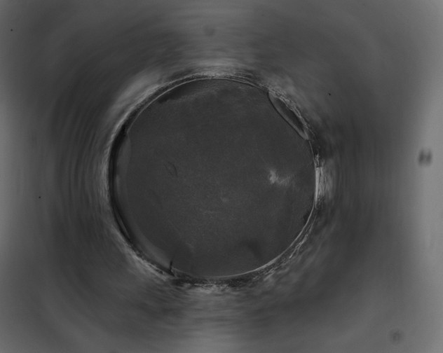 X0000102540243200808081528
