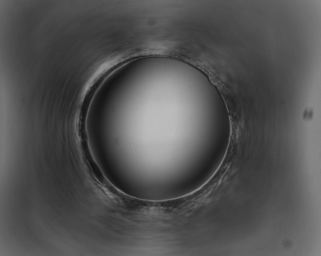 X0000102540244200808081528