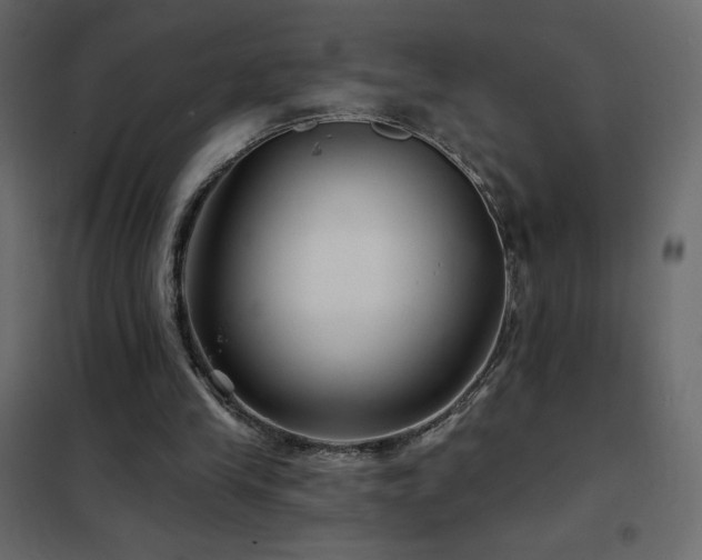 X0000102540245200808081528