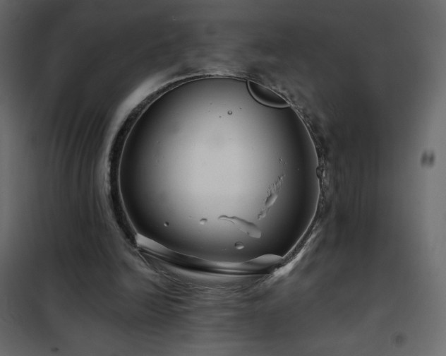 X0000102540246200808081528