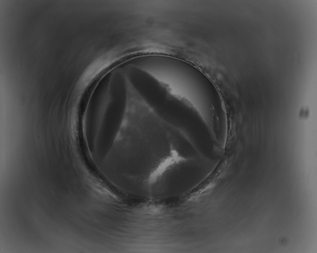 X0000102540247200808081528
