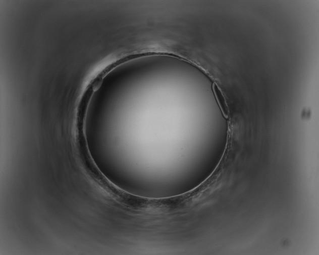 X0000102540248200808081528