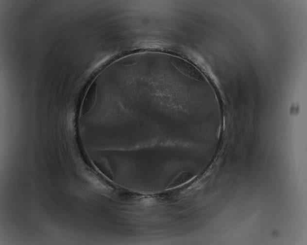 X0000102540249200808081528