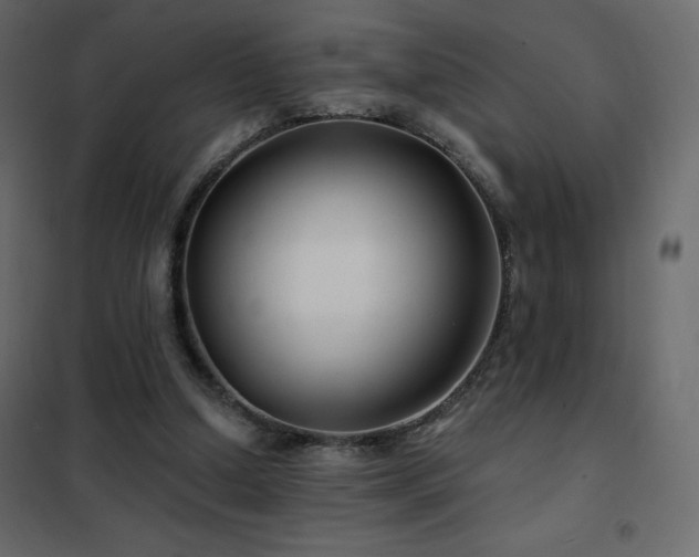 X0000102540250200808081528