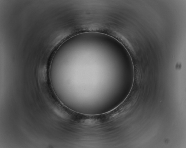 X0000102540251200808081528