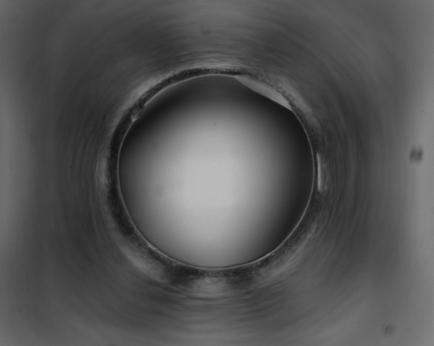X0000102540252200808081528