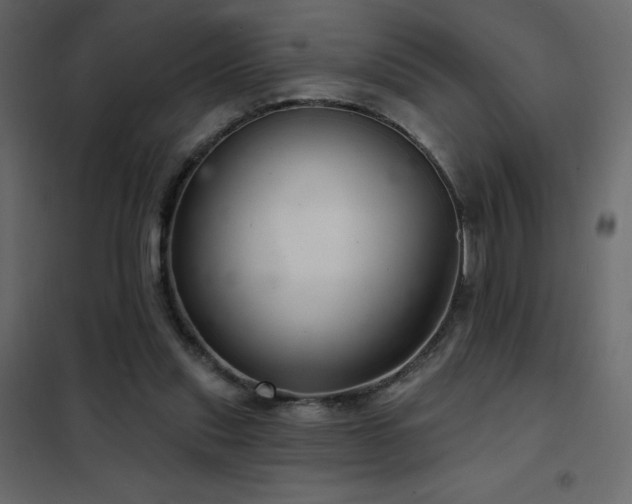 X0000102540253200808081528