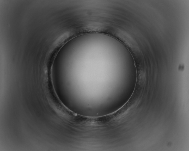 X0000102540254200808081528