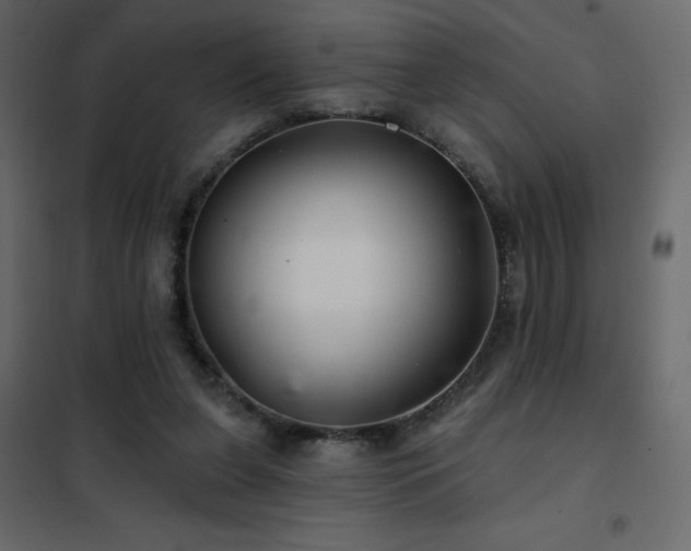 X0000102540255200808081528