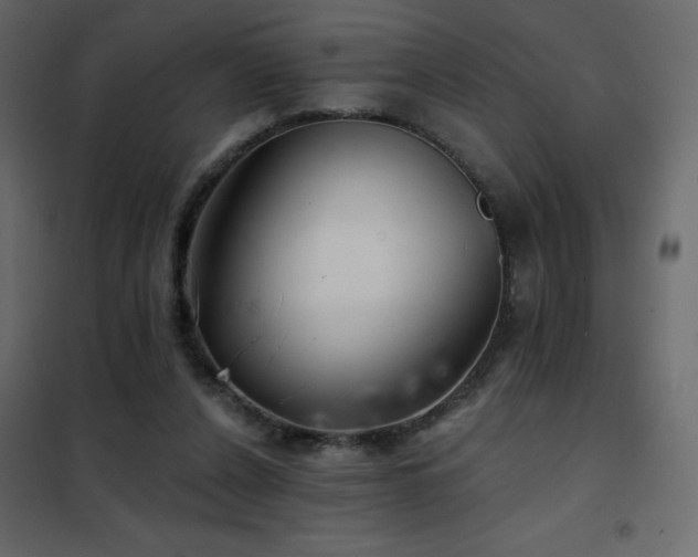 X0000102540256200808081528