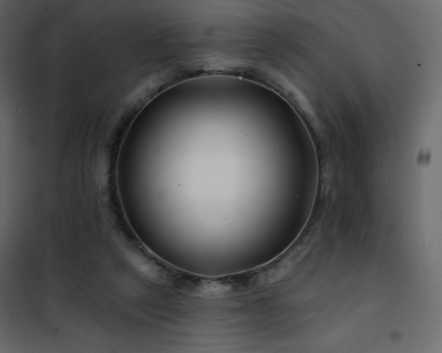 X0000102540257200808081528