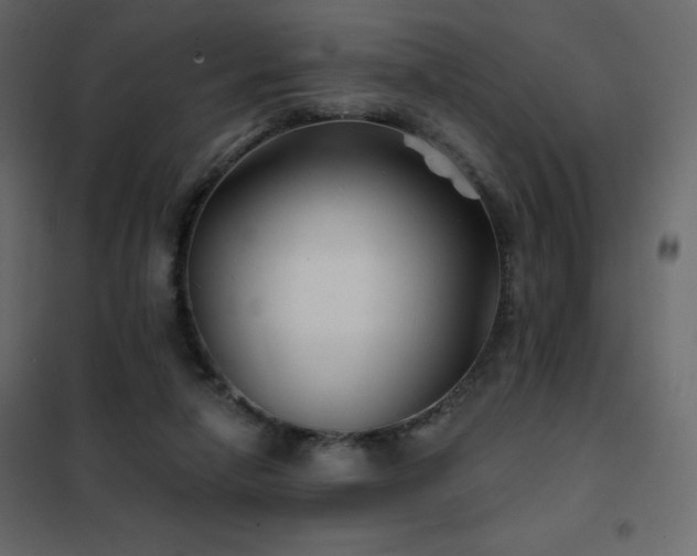 X0000102540258200808081528