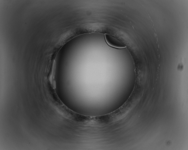 X0000102540259200808081528