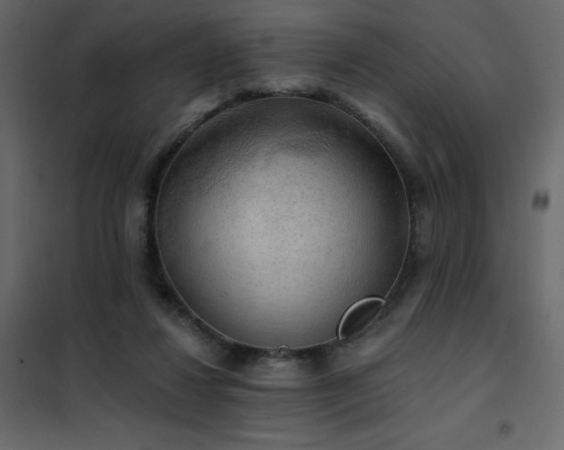 X0000102540260200808081528