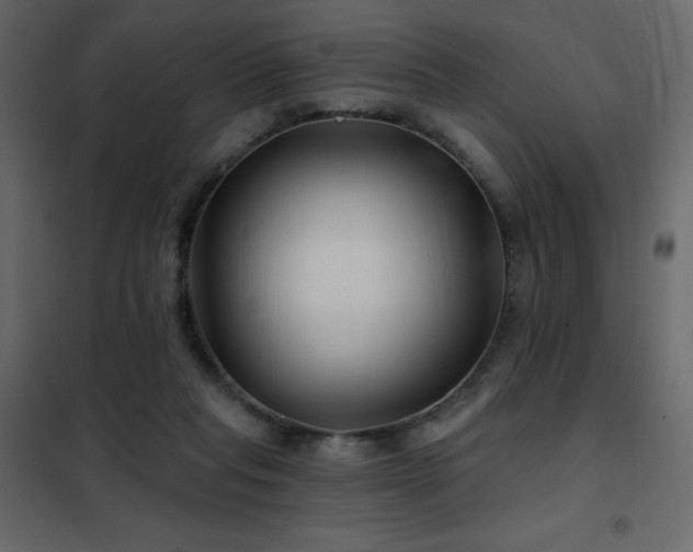 X0000102540261200808081528