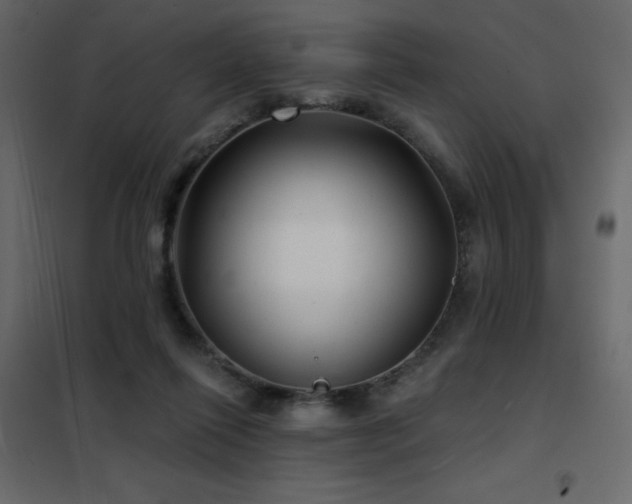 X0000102540262200808081528