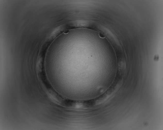 X0000102540264200808081528