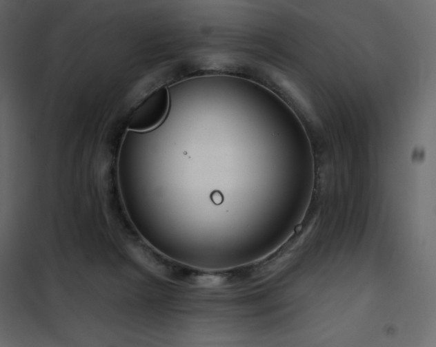 X0000102540265200808081528