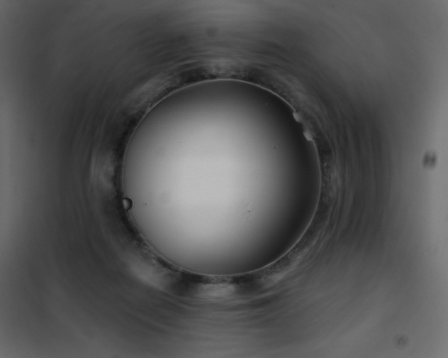 X0000102540266200808081528