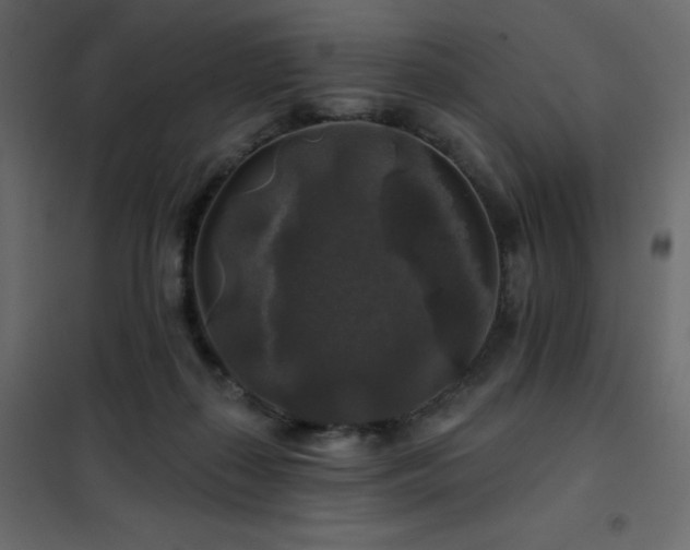 X0000102540267200808081528