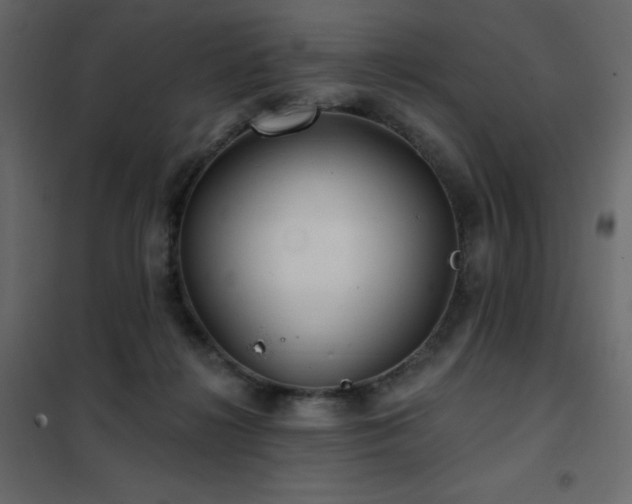 X0000102540268200808081528