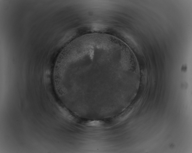 X0000102540269200808081528