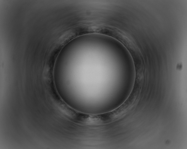 X0000102540270200808081528