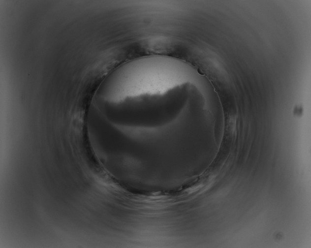 X0000102540271200808081528