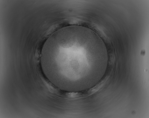 X0000102540273200808081528