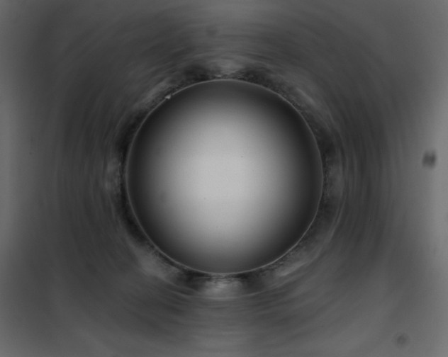 X0000102540274200808081528