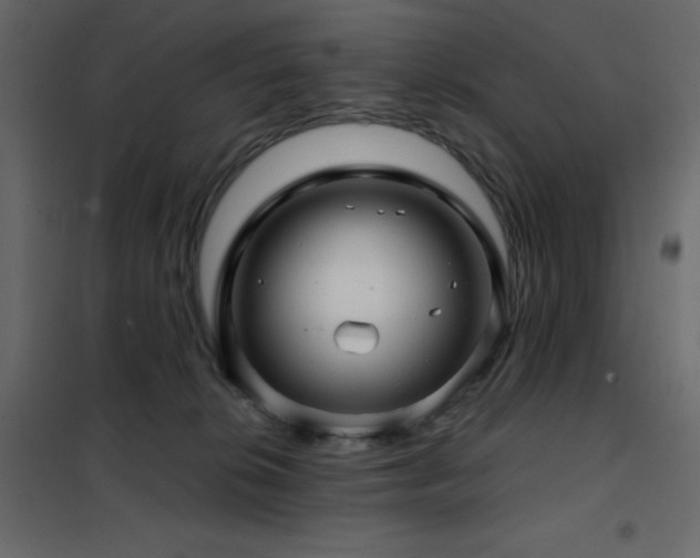 X0000102540276200808081528