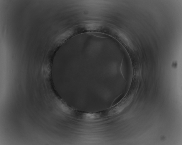 X0000102540277200808081528