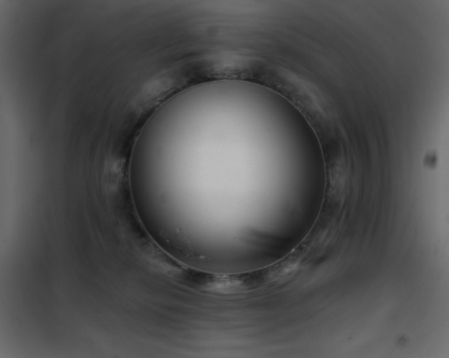 X0000102540278200808081528