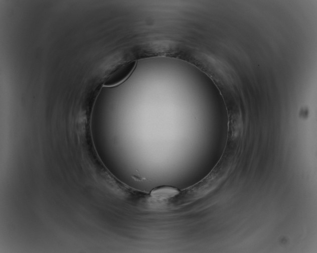 X0000102540279200808081528