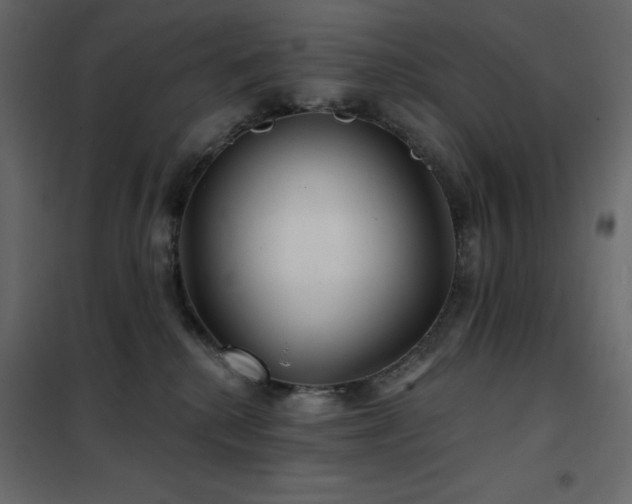 X0000102540280200808081528