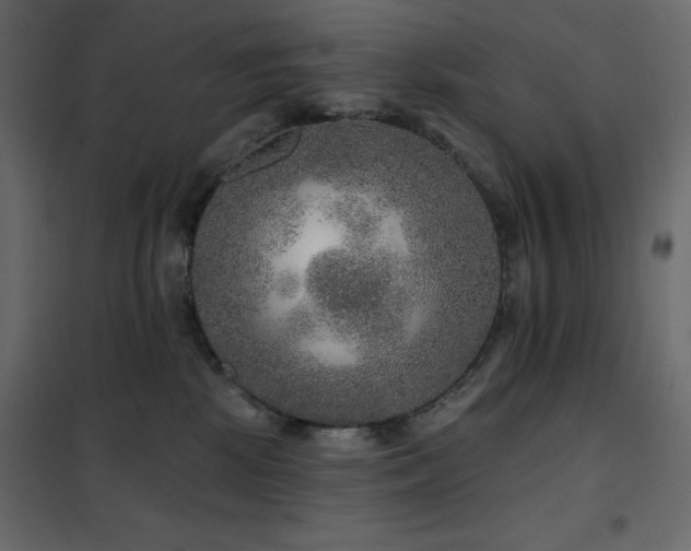 X0000102540281200808081528