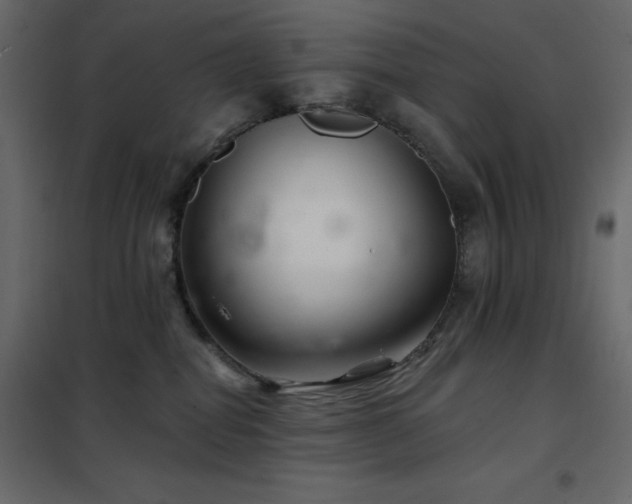 X0000102540282200808081528