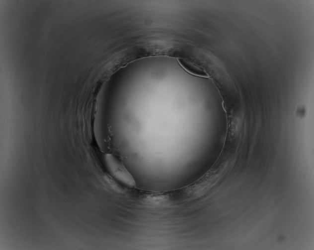 X0000102540283200808081528