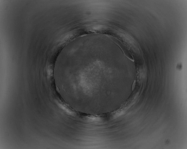 X0000102540284200808081528