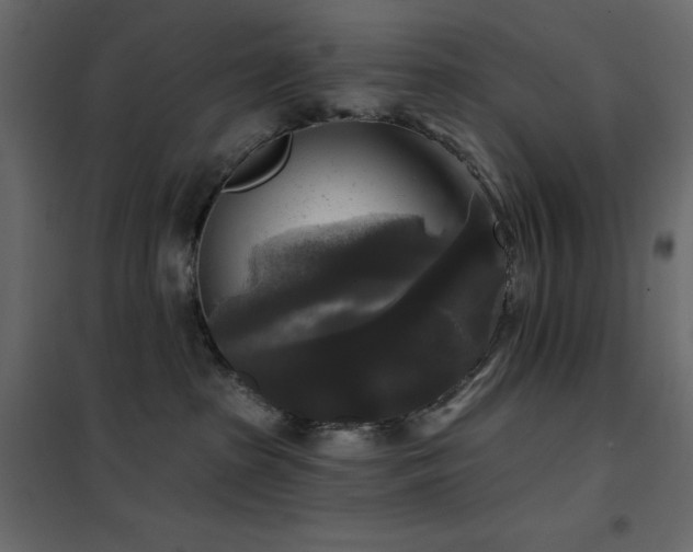 X0000102540285200808081528