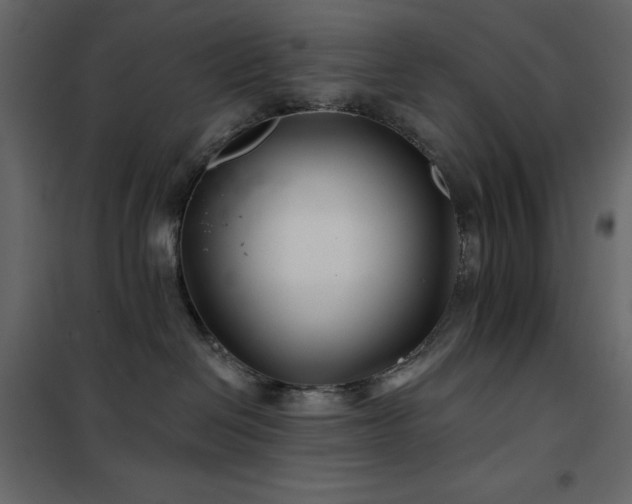 X0000102540286200808081528