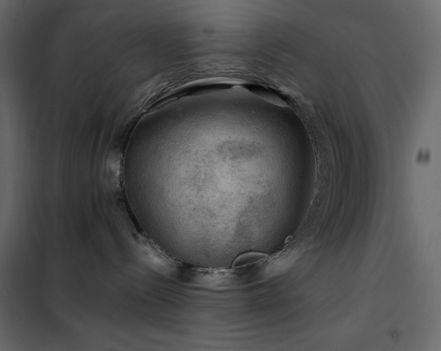 X0000102540288200808081529