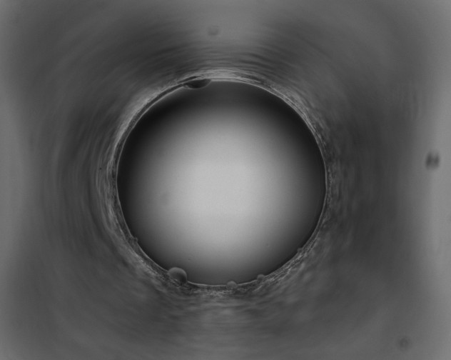 X0000102540289200808081528