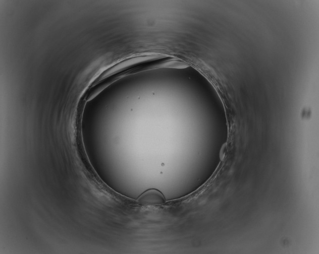 X0000102540290200808081528